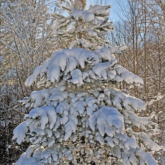 Happy Holidays 🥂 - Picture 3 of 4